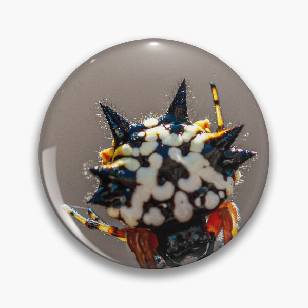 Item preview, Australian Jewel Spider  designed and sold by D-GaP.