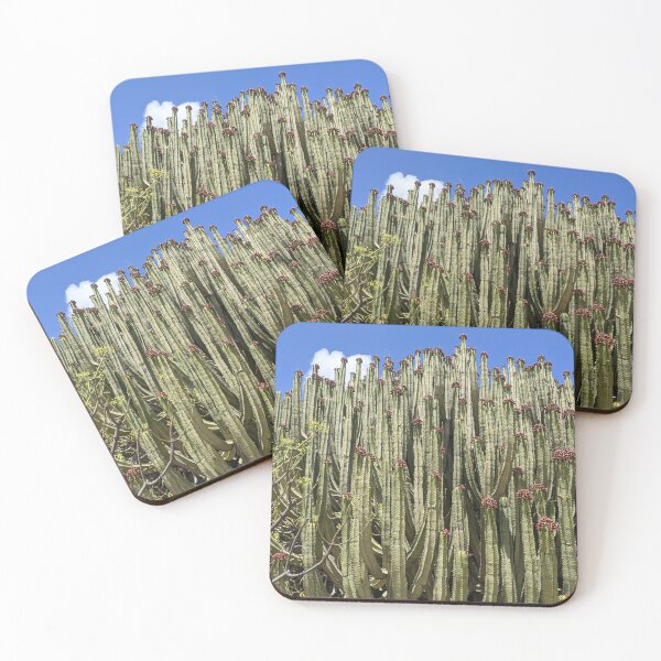 Item preview, Euphorbia Canariensis in Bloom, Gran Canaria designed and sold by LavaAndLight.