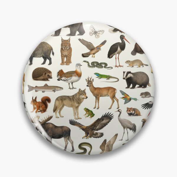 Item preview, Animals of Eastern Europe Retro Style Identification Chart designed and sold by kakarikihill.