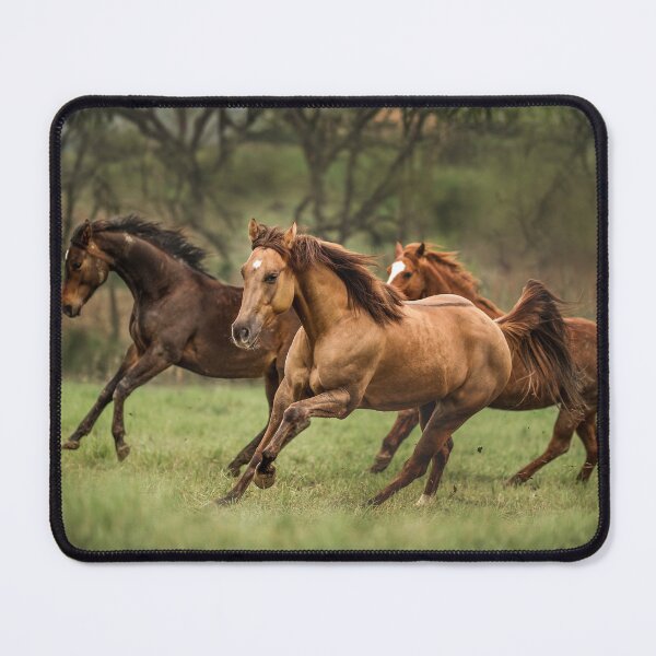 Item preview, Running Horses in Field, Wild Horse Photography, Equestrian Wall Art, Western Decor, Rustic Nature Print designed and sold by AnInfiniteInkwell.