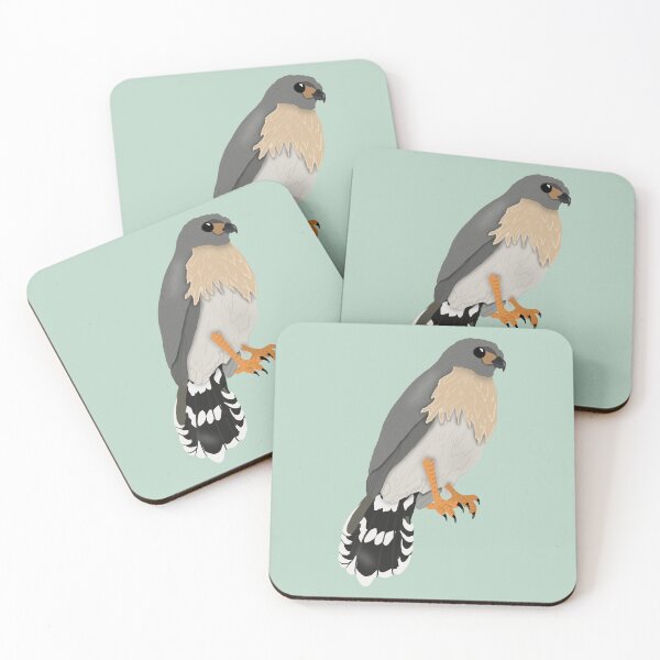 Item preview, Spot-Tailed Goshawk designed and sold by BDBirds.