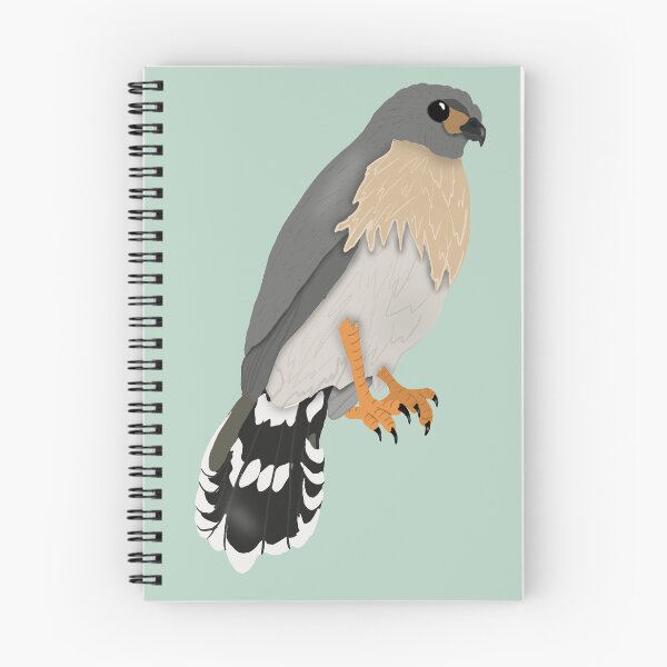 Item preview, Spot-Tailed Goshawk designed and sold by BDBirds.