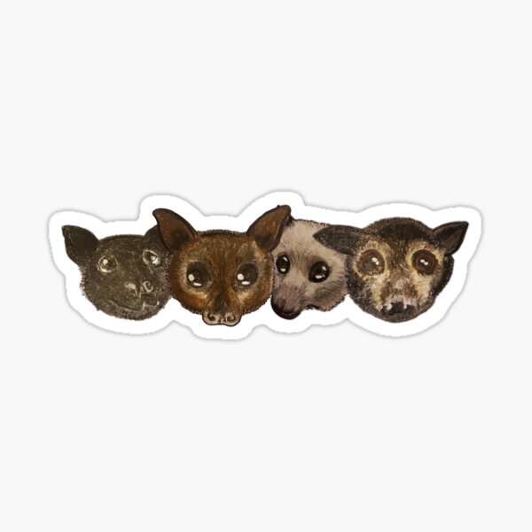 Item preview, Four Species Of Flying Fox Bat In A Row. designed and sold by BabyBats.