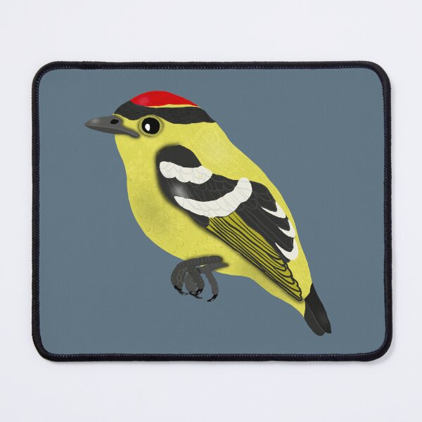 Item preview, Kinglet Calyptura designed and sold by BDBirds.