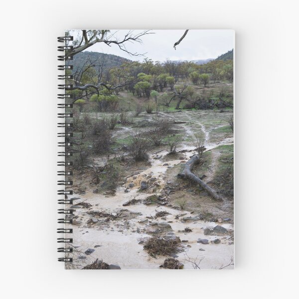Item preview, Water Running Through the Outback Bush After Rain. Argadells Station, South Australia. designed and sold by Mat Wills Photography.