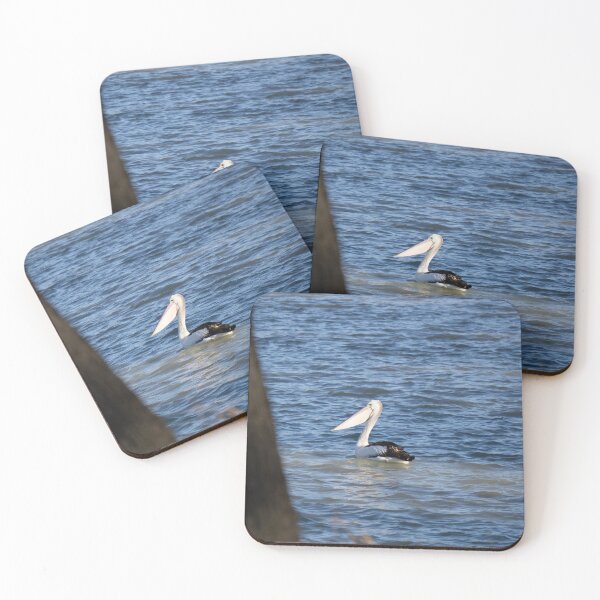 Item preview, Pelican Swimming on the Murray River. Overland Corner. South Australia designed and sold by Mat Wills Photography.