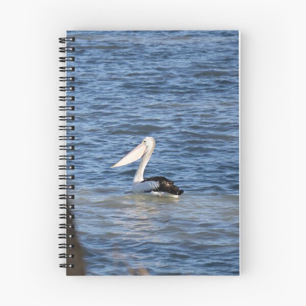 Item preview, Pelican Swimming on the Murray River. Overland Corner. South Australia designed and sold by Mat Wills Photography.