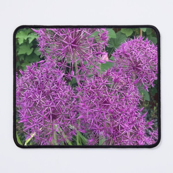 Item preview, purple allium flower's  designed and sold by TheMarketplaceworld.