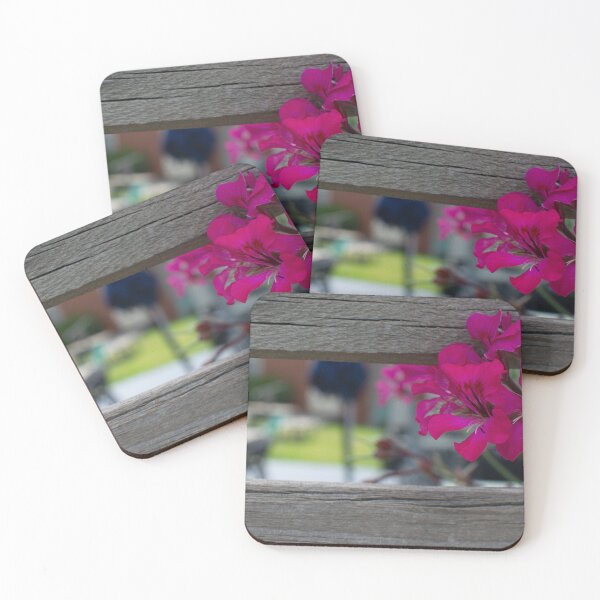 Item preview, Hot Pink Geranium Blooming Through Weathered Timber Fence. designed and sold by Mat Wills Photography.