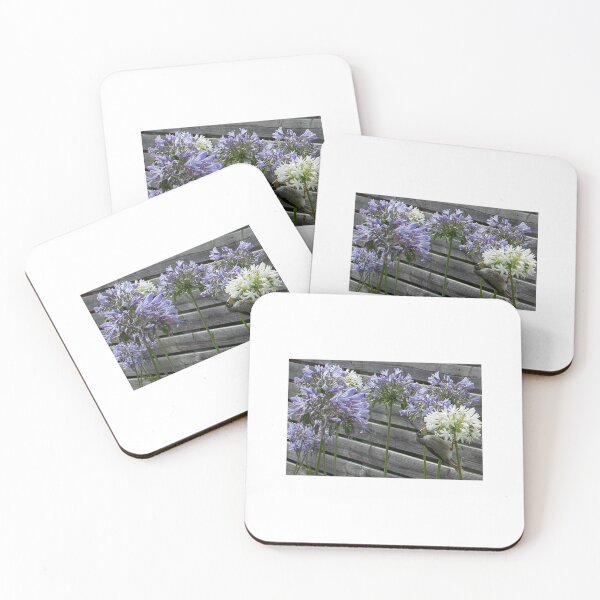 Item preview, Noisy Miner Feeding on Agapanthus Flowers. Australian Native Bird. designed and sold by Mat Wills Photography.