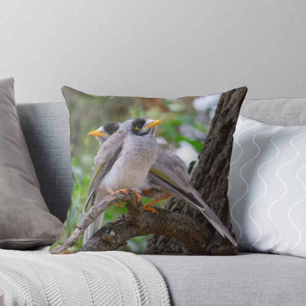 Item preview, Two Noisy Miners Together on Branch. Australian Native Honeyeaters. designed and sold by Mat Wills Photography.