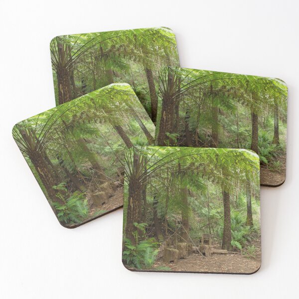 Item preview, Forest Rest Stop, Lawson Falls walking track, Gentle Annie, Victoria, Australia designed and sold by Mat Wills Photography.