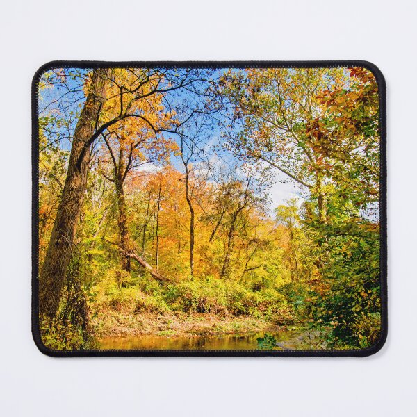 Item preview, Banks Along a Woodland Stream in Autumn, Montgomery County, Pennsylvania designed and sold by AMacGPhilly.