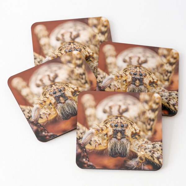 Item preview, Spider Portrait #1- Dark Fishing Spider designed and sold by Fultz-Brothers.