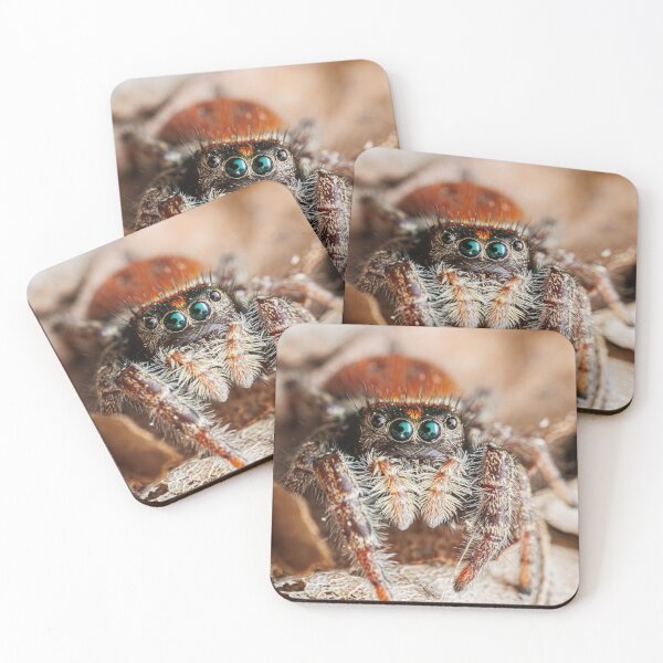 Item preview, Spider Portrait #3- Whitman's Jumping Spider designed and sold by Fultz-Brothers.