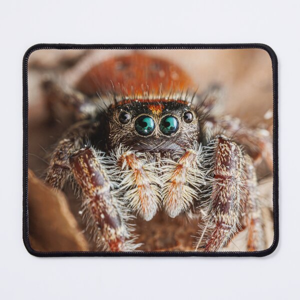 Item preview, Spider Portrait #3- Whitman's Jumping Spider designed and sold by Fultz-Brothers.