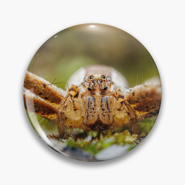 Item preview, Spider Portrait #2- Nursery Web Spider designed and sold by Fultz-Brothers.