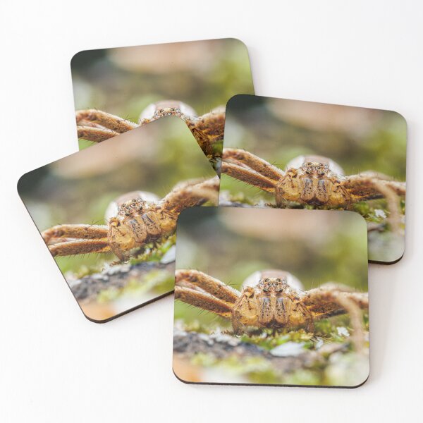 Item preview, Spider Portrait #2- Nursery Web Spider designed and sold by Fultz-Brothers.