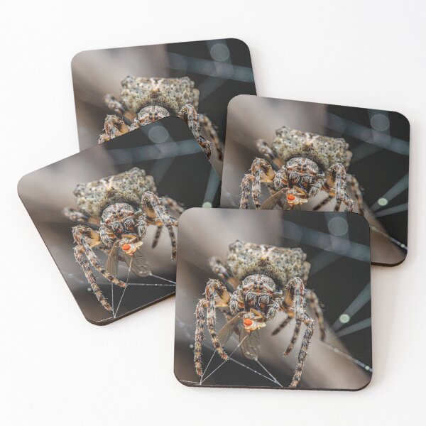 Item preview, Spider Portrait #4- Feeding Orb Weaver designed and sold by Fultz-Brothers.