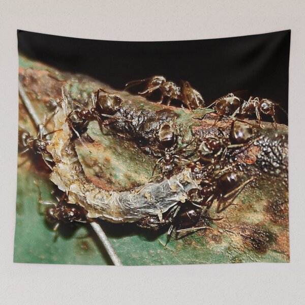 Item preview, Ant Attack designed and sold by AnnDixon.