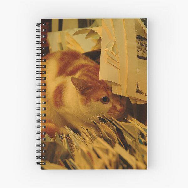Item preview, Keeping an eye on the customers designed and sold by Nerone.