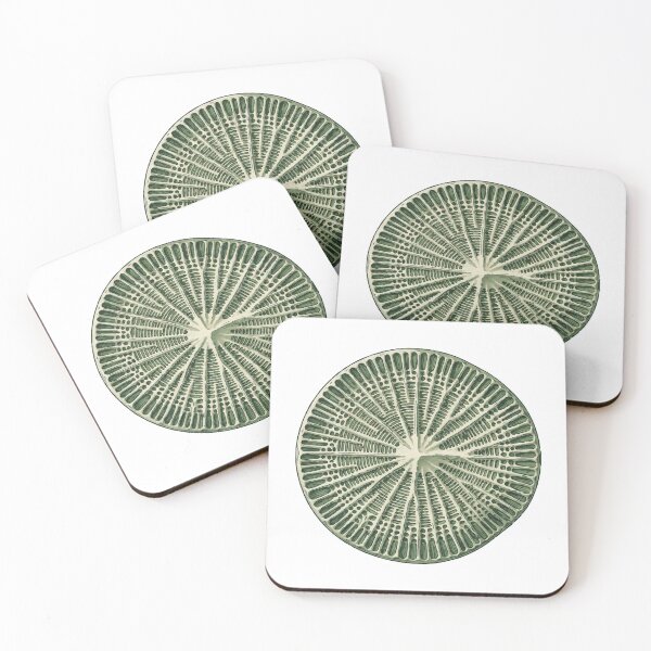 Item preview, Detailed Radial Art Green Diatom Algae designed and sold by Bio Tech Art.