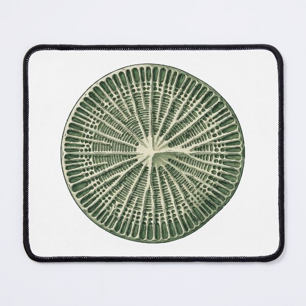 Item preview, Detailed Radial Art Green Diatom Algae designed and sold by Bio Tech Art.