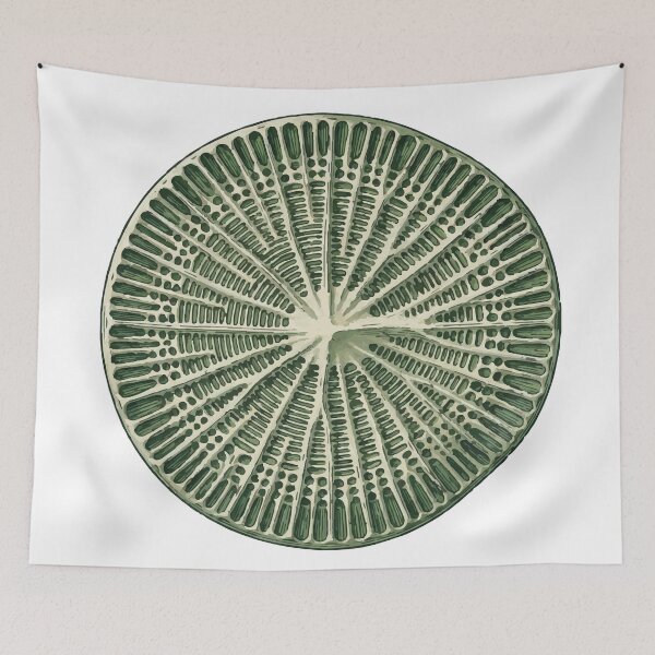 Item preview, Detailed Radial Art Green Diatom Algae designed and sold by Bio Tech Art.