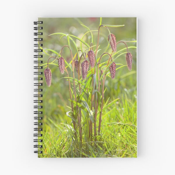 Item preview, Snake's Head Fritillaries  designed and sold by leebeelphoto.
