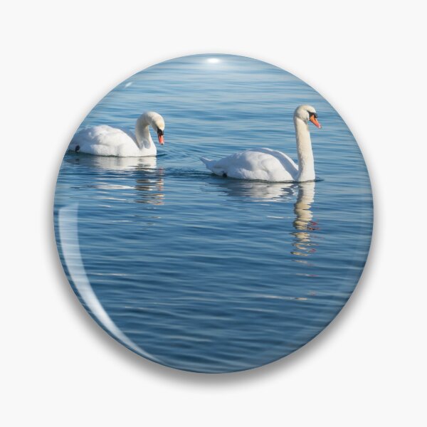 Item preview, Swan Couple Gracefully Gliding on Calm Blue Water designed and sold by Georgia Mizuleva.