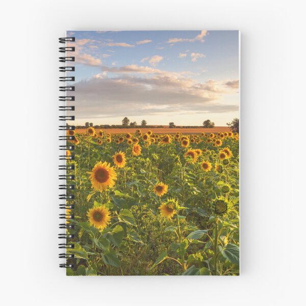 Item preview, Field of Sunflowers designed and sold by leebeelphoto.