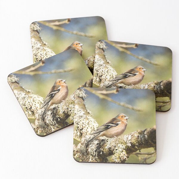 Item preview, These lovely garden birds designed and sold by ByMarielle.