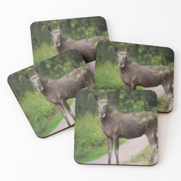 Item preview, Mother Moose designed and sold by ByMarielle.