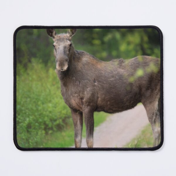 Item preview, Mother Moose designed and sold by ByMarielle.