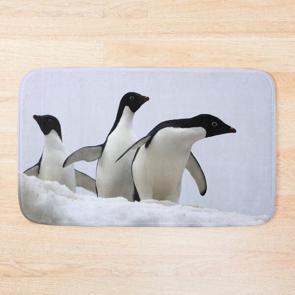 Item preview, Three Adélie Penguins designed and sold by Proud & Pretty Wildlife Photography.