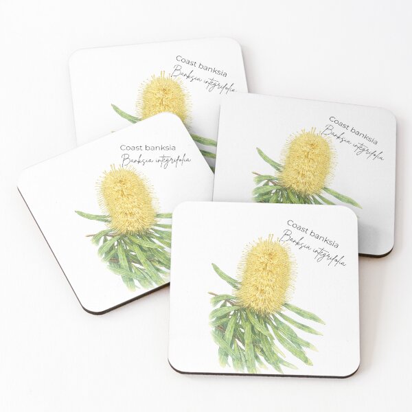 Item preview, Banksia integrifolia designed and sold by Our Native Plants .