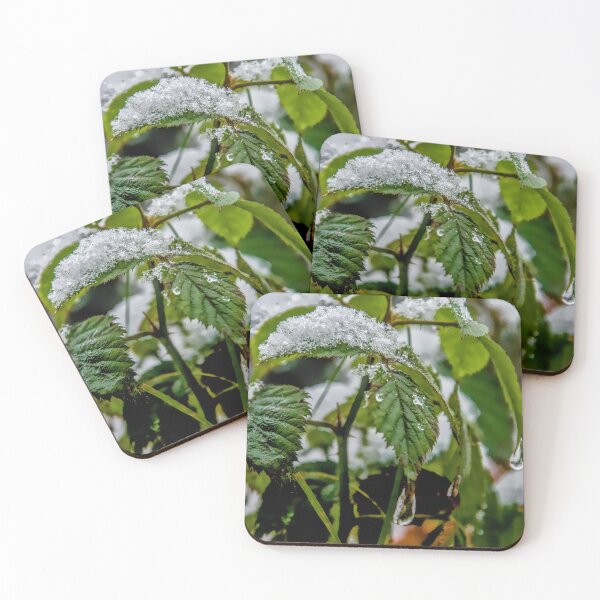 Item preview, Snow and Ice Water Drops on Green Leaves designed and sold by ShotsbyDesiree.