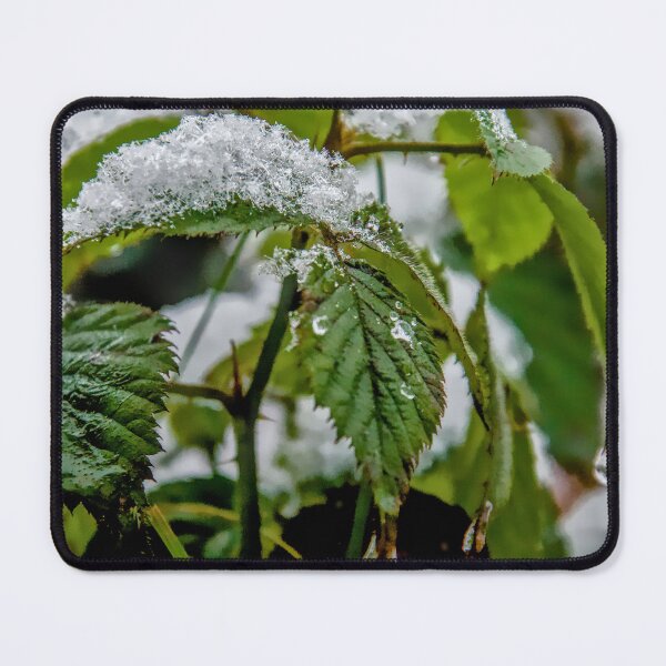 Item preview, Snow and Ice Water Drops on Green Leaves designed and sold by ShotsbyDesiree.