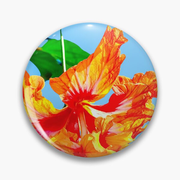Item preview, Hibiscus rosa senensis double orange flower designed and sold by Peter Etchells.