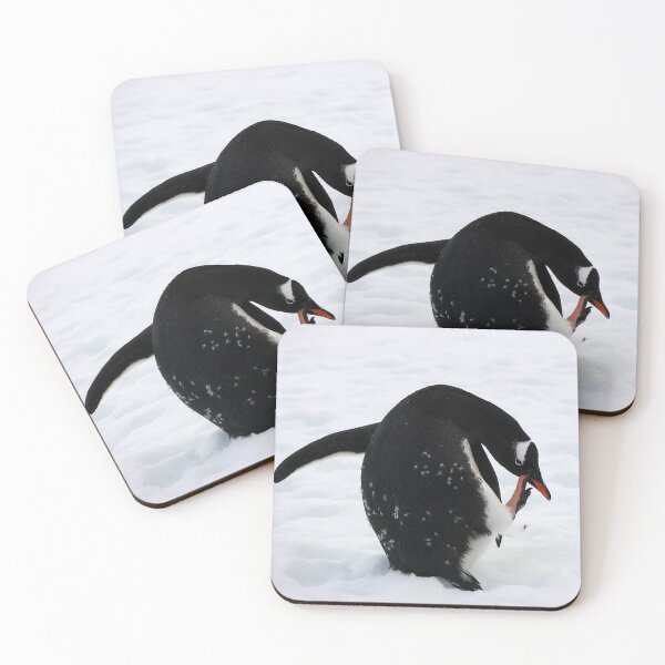 Item preview, Scratching Gentoo Penguin designed and sold by Proud & Pretty Wildlife Photography.