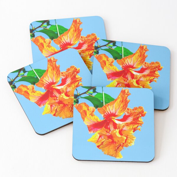 Item preview, Hibiscus rosa senensis double orange flower designed and sold by Peter Etchells.