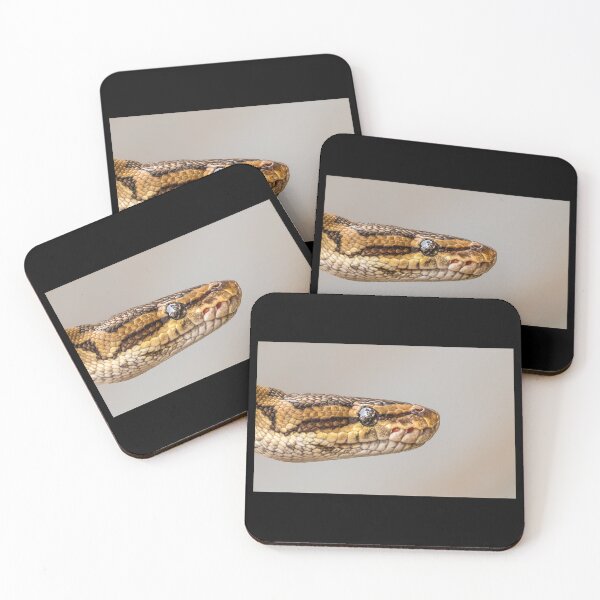 Item preview, Python Portrait - Golden Scales Macro Photography designed and sold by AbulailArt.