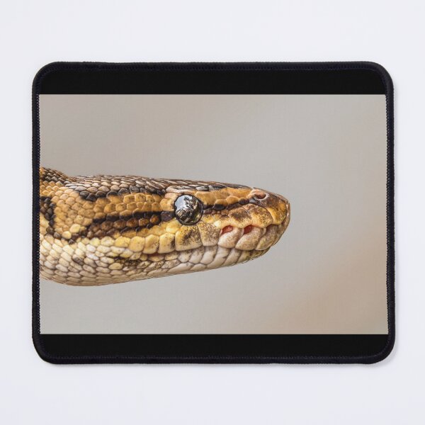 Item preview, Python Portrait - Golden Scales Macro Photography designed and sold by AbulailArt.