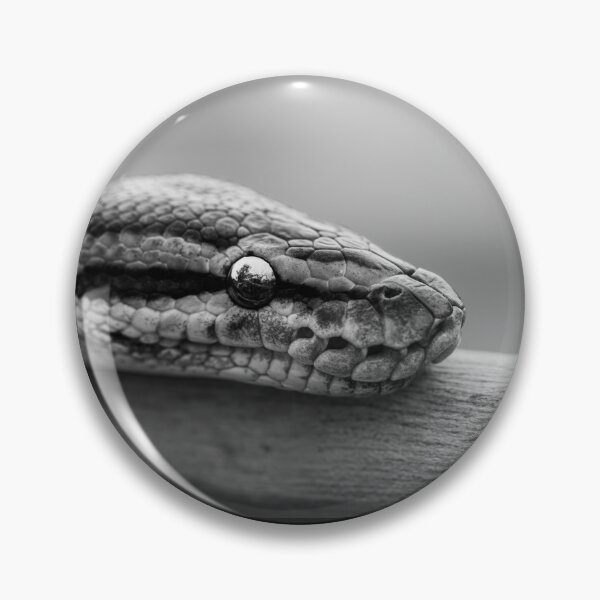 Item preview, Minimalist Python - Black and White Snake Macro Art designed and sold by AbulailArt.