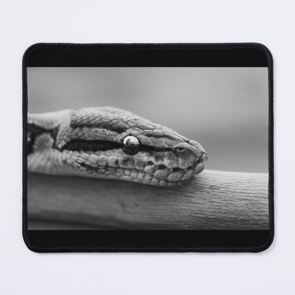 Item preview, Minimalist Python - Black and White Snake Macro Art designed and sold by AbulailArt.