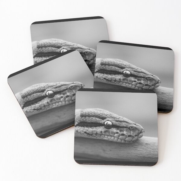 Item preview, Minimalist Python - Black and White Snake Macro Art designed and sold by AbulailArt.
