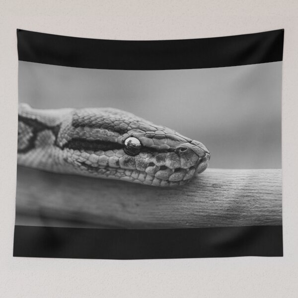 Item preview, Minimalist Python - Black and White Snake Macro Art designed and sold by AbulailArt.