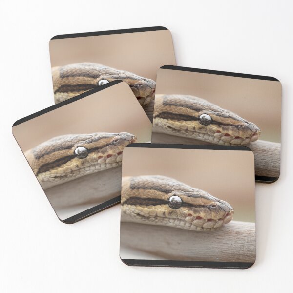 Item preview, Exotic Python Snake - Macro Wildlife Portrait designed and sold by AbulailArt.