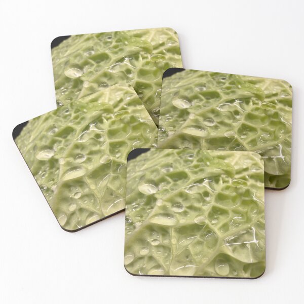 Item preview, Head of Lettuce designed and sold by Betsy Phillips.