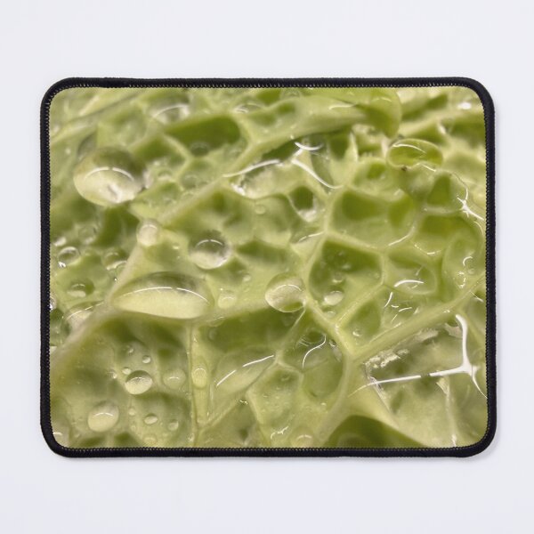 Item preview, Head of Lettuce designed and sold by Betsy Phillips.